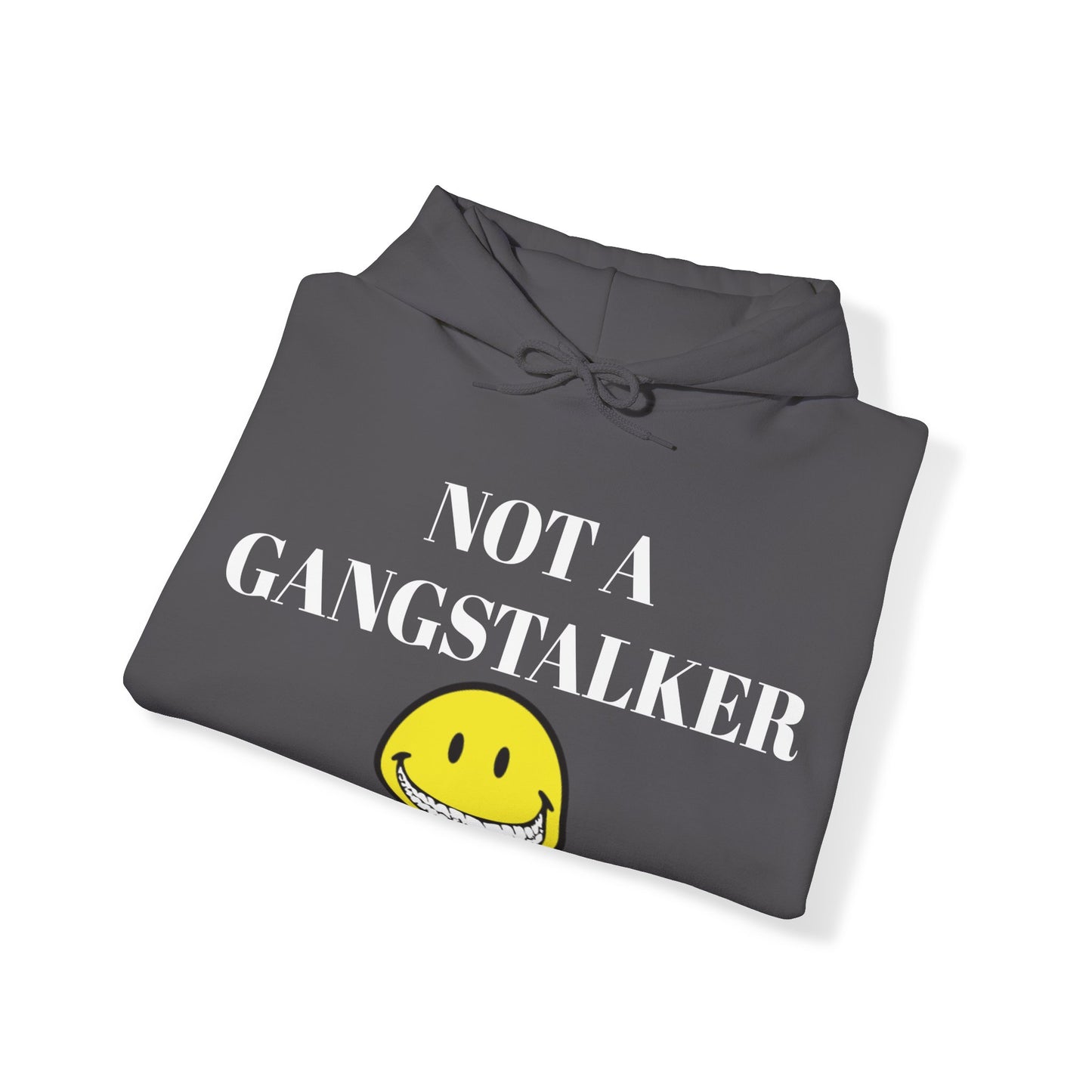 Gangstalking Unisex Hooded Sweatshirt