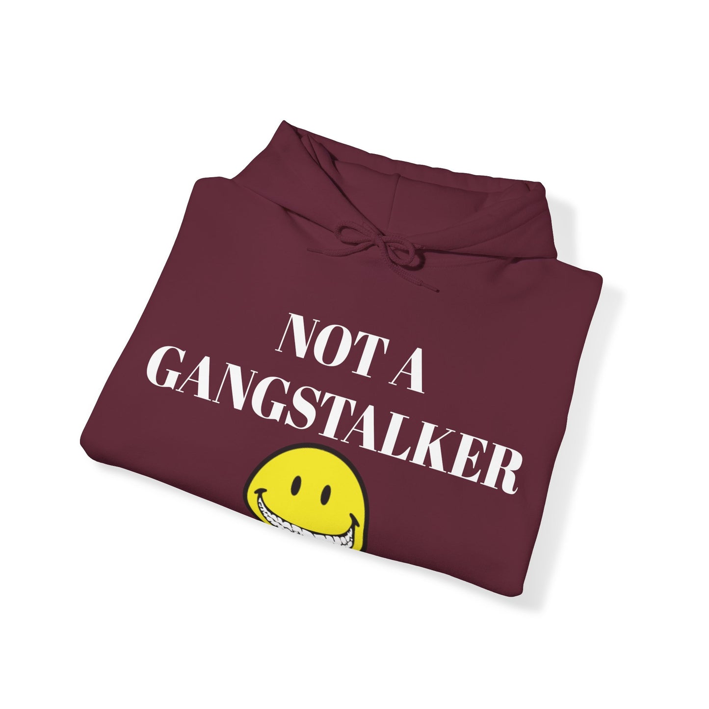 Gangstalking Unisex Hooded Sweatshirt