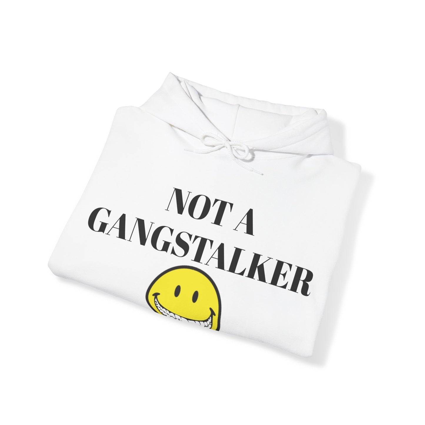 Gangstalking Unisex Hooded Sweatshirt