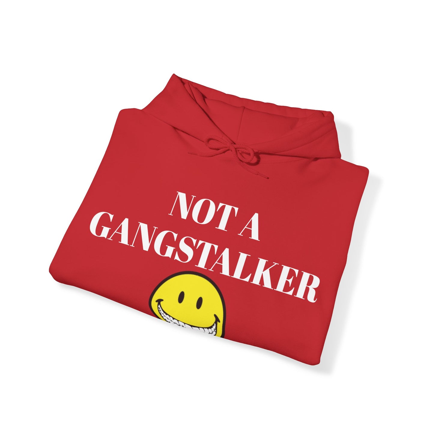 Gangstalking Unisex Hooded Sweatshirt