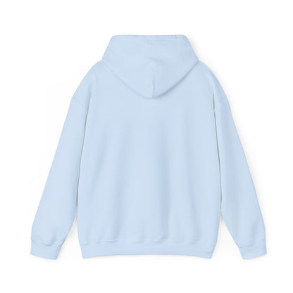Gangstalking Unisex Hooded Sweatshirt