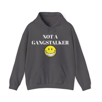 Gangstalking Unisex Hooded Sweatshirt
