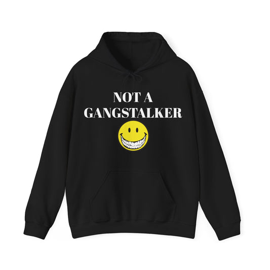 Gangstalking Unisex Hooded Sweatshirt