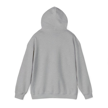 Gangstalking Unisex Hooded Sweatshirt