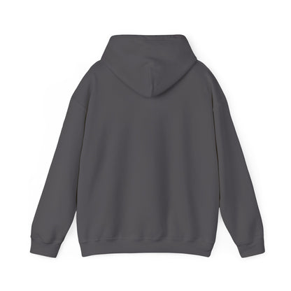Gangstalking Unisex Hooded Sweatshirt