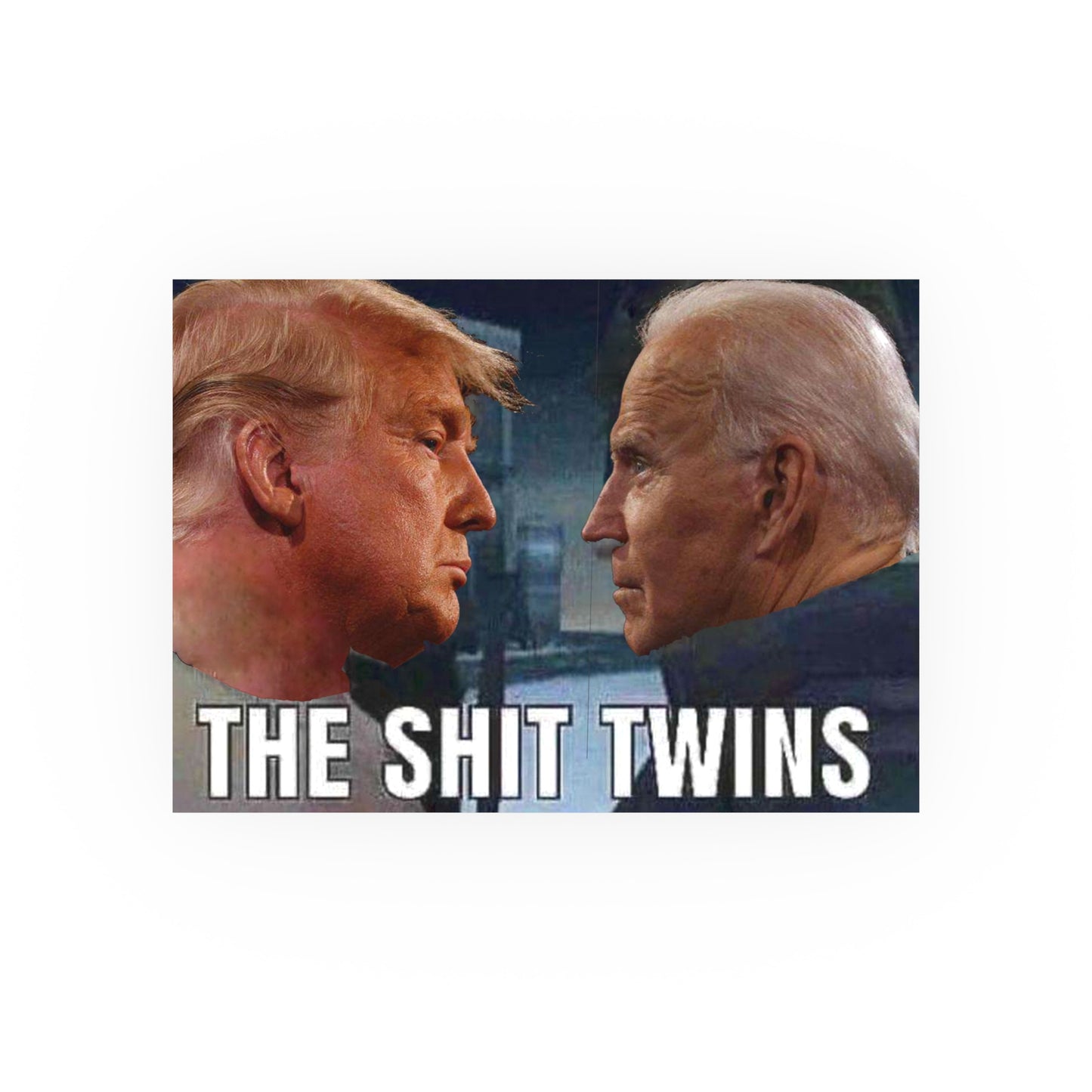 Shit Twins Satin and Archival Matte Posters