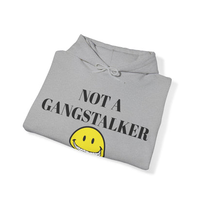 Gangstalking Unisex Hooded Sweatshirt