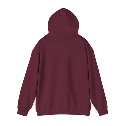 Gangstalking Unisex Hooded Sweatshirt