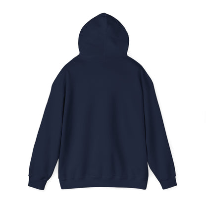 Gangstalking Unisex Hooded Sweatshirt