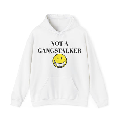 Gangstalking Unisex Hooded Sweatshirt