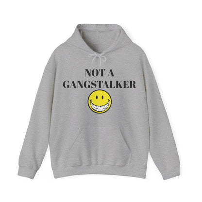 Gangstalking Unisex Hooded Sweatshirt